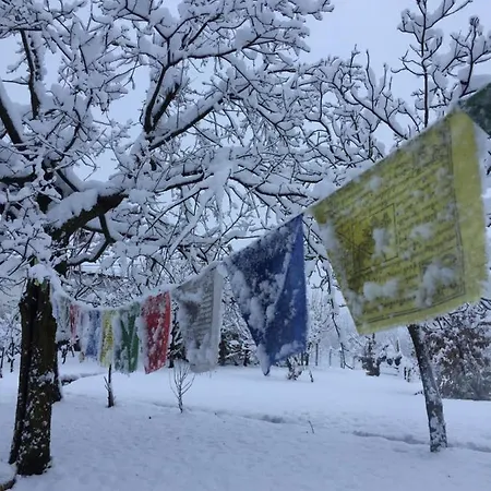 Happy Hill - Quercia - Natura E Relax Σπίτι διακοπών