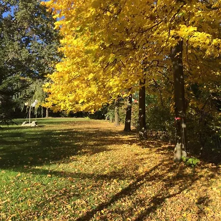 Happy Hill - Quercia - Natura E Relax