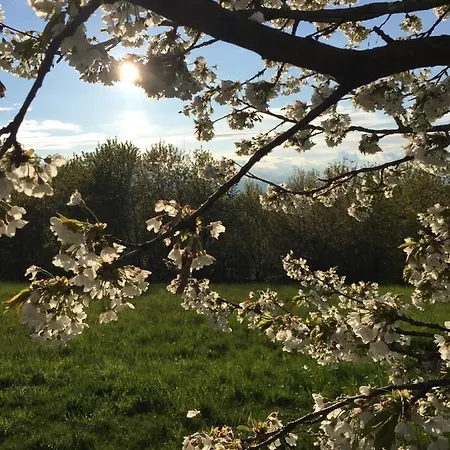 Σπίτι διακοπών Happy Hill - Quercia - Natura E Relax