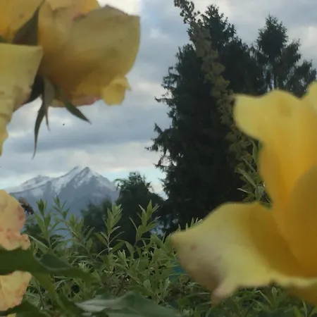 Happy Hill - Quercia - Natura E Relax Casa de Férias Santa Maria Rocca