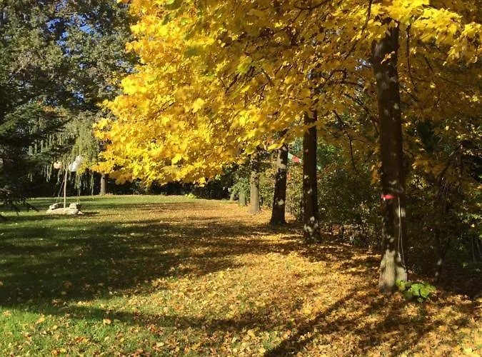 Happy Hill - Quercia - Natura E Relax