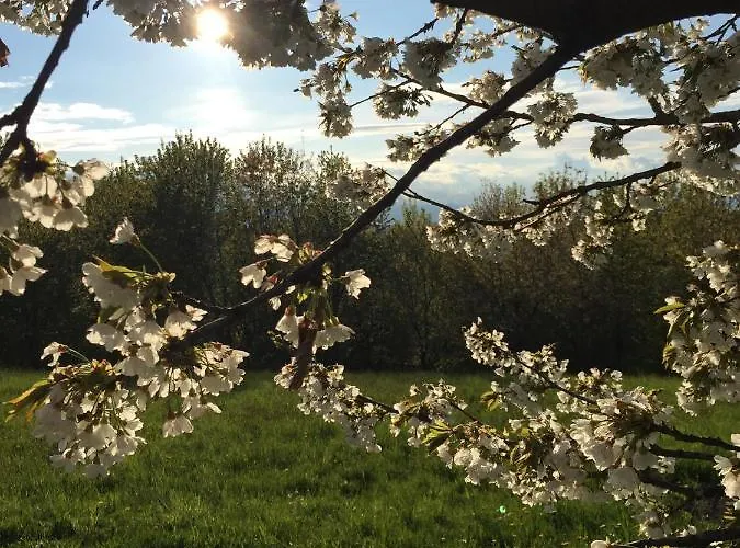 度假居 Happy Hill - Quercia - Natura E Relax