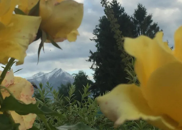 Happy Hill - Quercia - Natura E Relax Holiday home Santa Maria Rocca